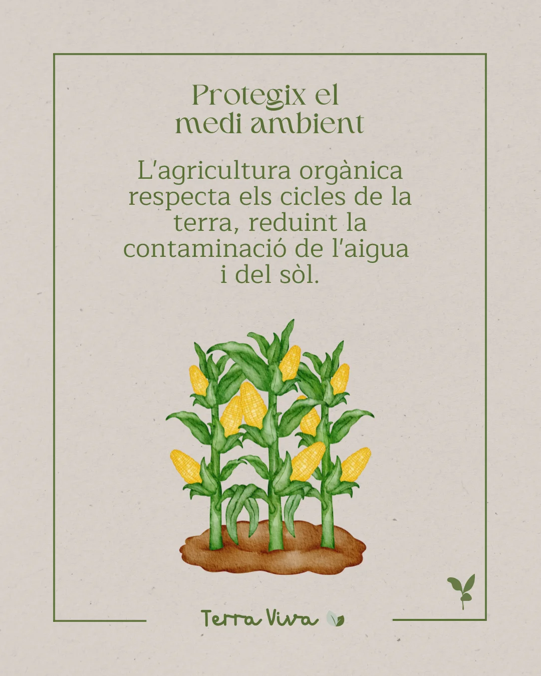 Post Mindara - Agricultura orgánica