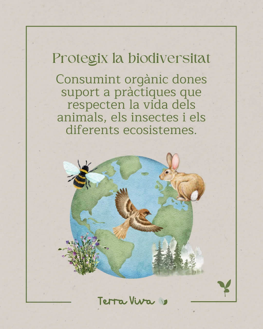 Post Mindara - Biodiversidad