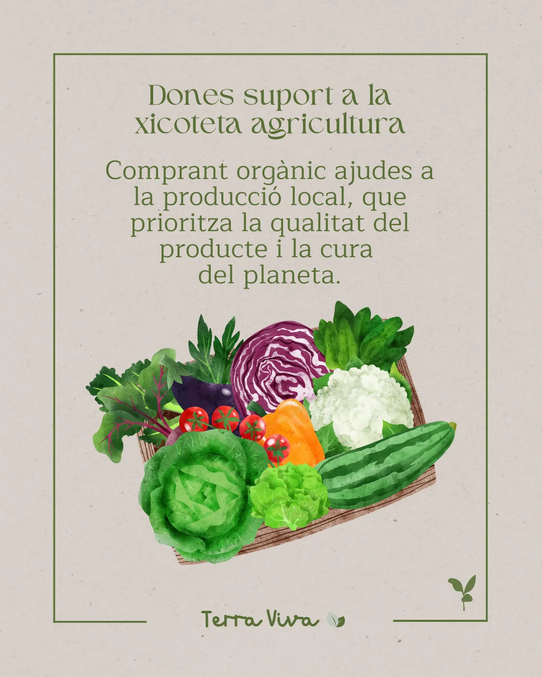 Post Mindara - Agricultura local