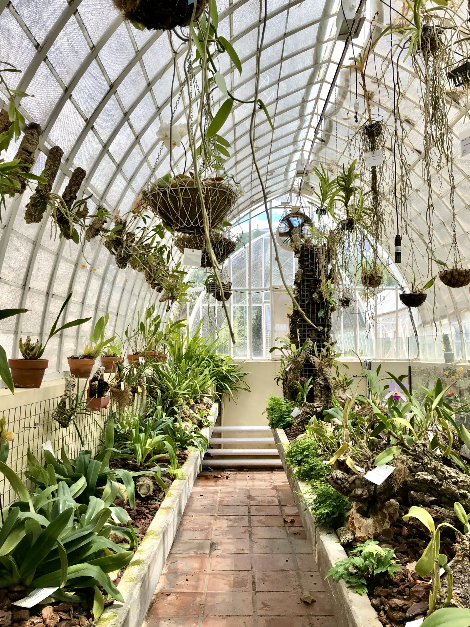 Jardín Botánico - Invernadero