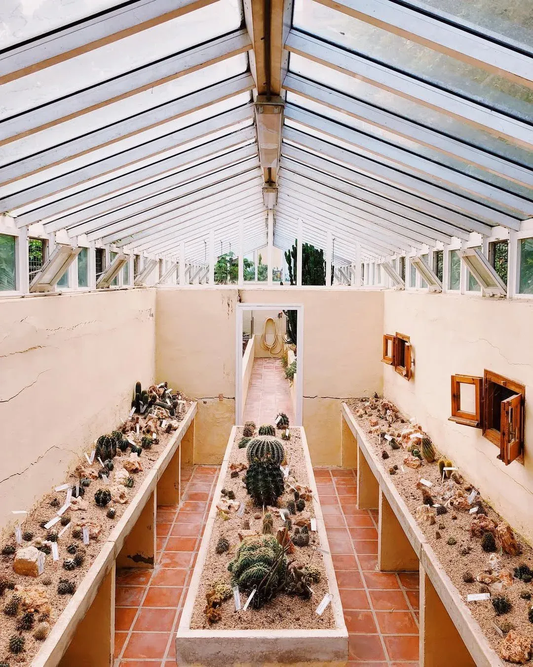 Jardín Botánico de Valencia