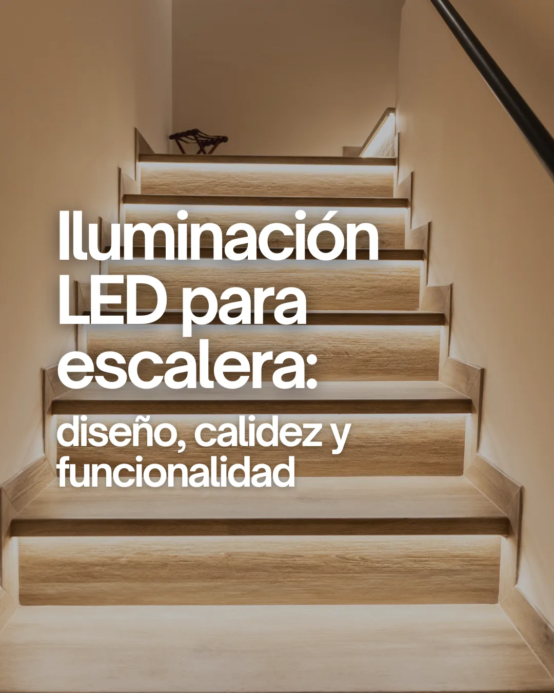 Portfolio Cándido Ballester
